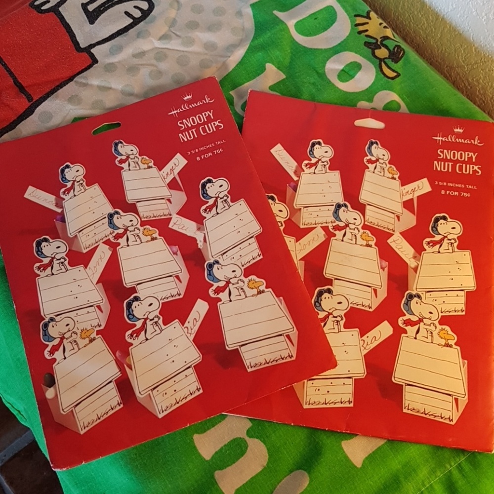 2 Snoopy party packs + Snoopy pillow case